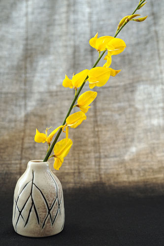 This image shows one of Jo Land's small cream vases decorated with a twig design with a stem of yellow flowers in it.